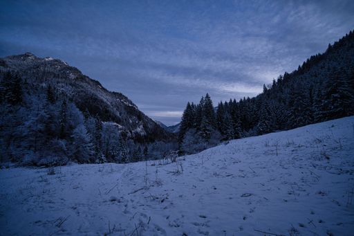 A view of a snowy meadow with trees covered with snow against mountain peak and blue sky with clouds