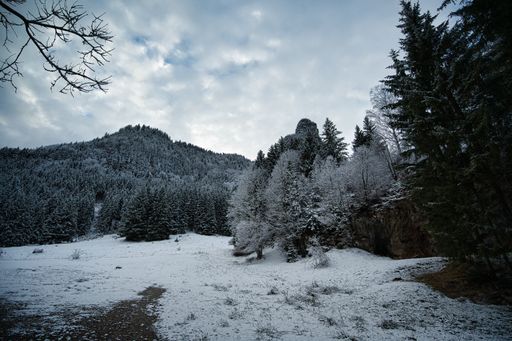 A view of a snowy meadow with trees covered with snow against mountains and blue cloudy sky