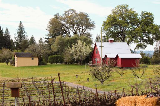 A Sonoma county, CA. The old winery