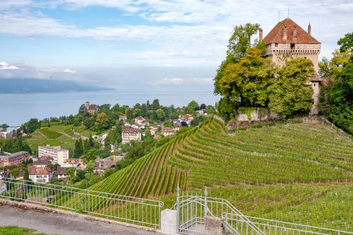 A beautiful view of the Chatelard Castle in Montreux, Switzerland on a green hill against a cloudy blue sky