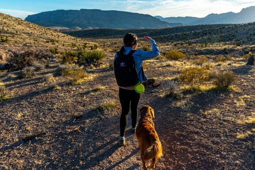 A hiker walks with a dog and looking at the mountains