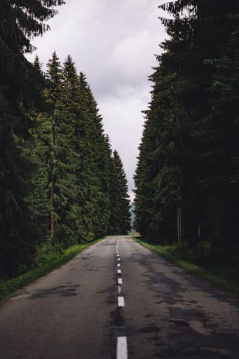 A vertical shot of a road through the forest on a cloudy day