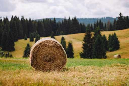 A beautiful view of a meadow near Drabsko village in Slovakia