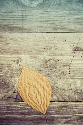 A high angle shot of a beautiful dry yellow leaf on a wooden surface