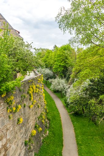 A vertical shot of a walking trail through a lush park in Rothenburg ob der Tauber, Germany