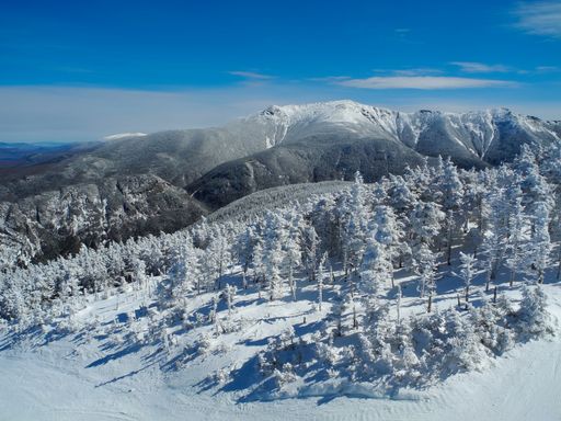 An aerial shot of snow-covered trees in the mountains in USA during winter