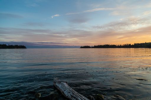 A tree log on a rocky shore surrounded by the sea during the sunrise in the morning