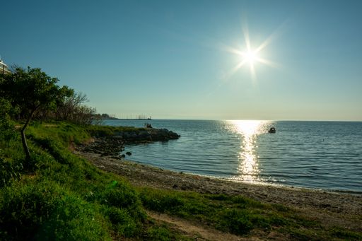 A  wide angle shot of the beach surrounded by trees