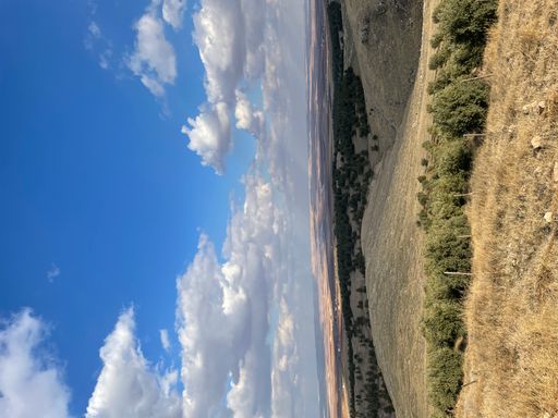 A vertical shot of hills covered in dried grass and trees under the sunlight and a blue cloudy sky