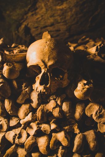 A vertical closeup shot of the skulls under the lights in the Catacombs of Paris, France