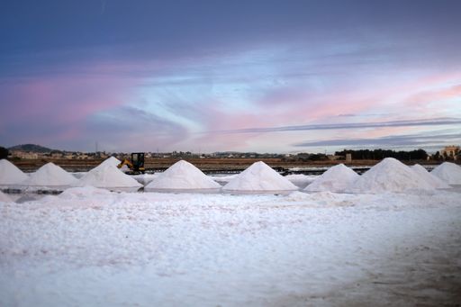 Saline di Trapani salt harvesting production