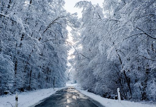 A scenic view of a landscape during winter covered in white snow in Germany