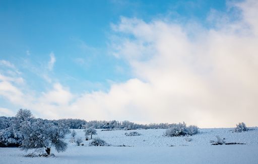 A scenic view of a landscape during winter covered in white snow in Germany