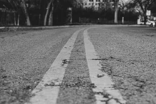 A greyscale closeup shot of an empty road surrounded by trees at daytime - cool for backgrounds
