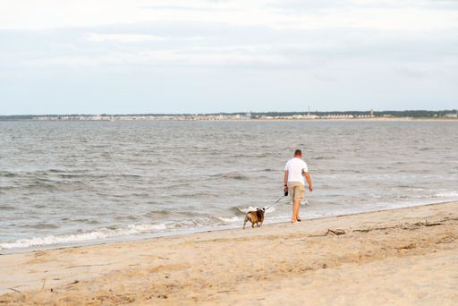 A closeup of a man walking with his dog on the beach