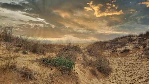 A beautiful shot of a sunset sky over a rural seashore in Sylt, Germany