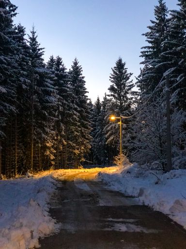 A view of a road in a snow-covered field with large trees