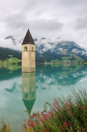 A vertical shot of submerged chur