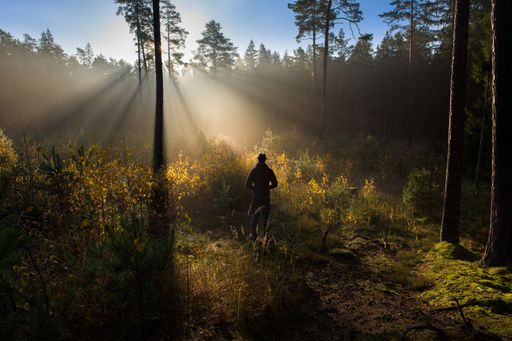 A scenic view of a man walking on a foggy forest
