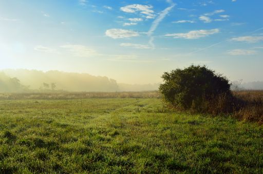 A grassy field under a blue cloudy sky on a sunny day