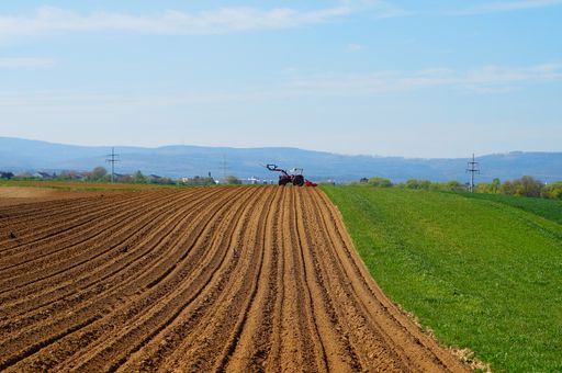 A tractor on the horizon of a freshly prepared potato field. The furrows are waiting to be sown.