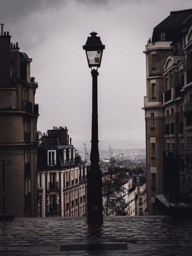 A vertical shot of a lamppost against a gray cloudy sky
