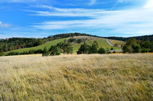 A landscape view of a grassy field under a blue cloudy sky on a sunny day