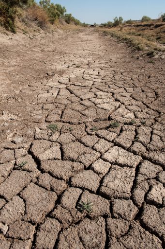 A vertical shot of drought land with very few trees on the edges of the road
