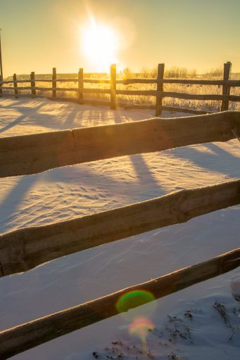 A vertical shot of a field surrounded by fences during the sunset in the evening