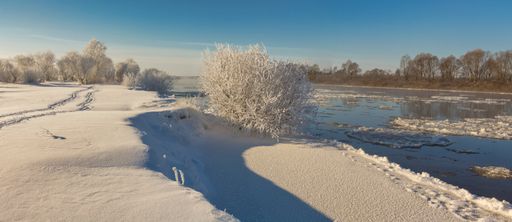 A beautiful shot of a landscape fully covered in snow.