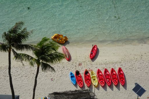 An aerial view of coconut trees and colorful aligned Kayak Sailing boats on the Tumon Beach, Guam