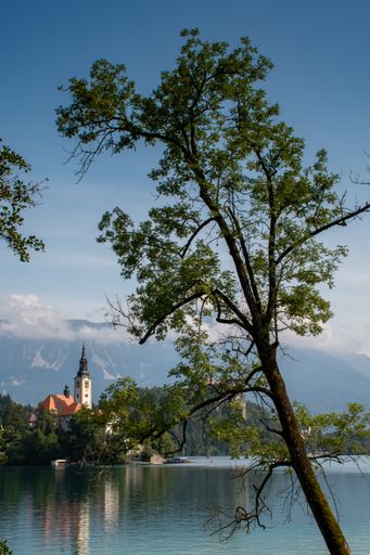 A vertical shot of Maria Church near Lake Bled, Slovenia