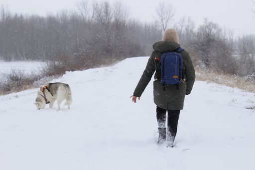 A Caucasian (White) female walking with her dog in a snow-capped forest. Canada