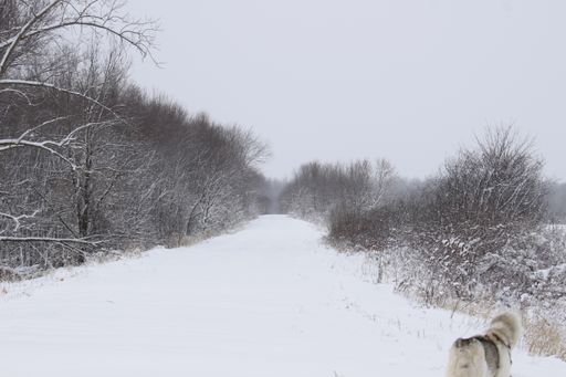 A beautiful shot of a road completely covered in snow during winter