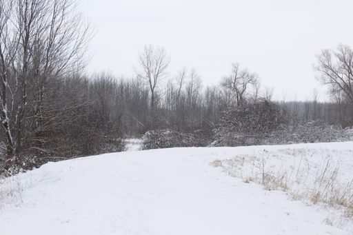 A beautiful shot of a curved dirt road completely covered in snow during the winter season