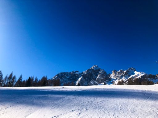 A winter landscape of pine trees with snow-capped mountains under a blue sky