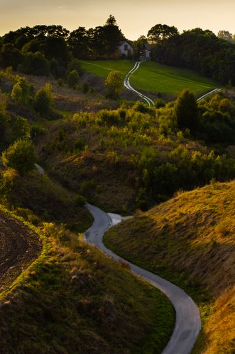 A vertical shot of a curvy road among tiny hills leading to a house in the forest