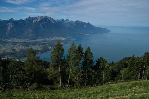 The beautiful summer landscape with Lake Geneva. Montreux, Vaud, Switzerland.