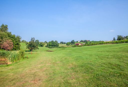 The golf course of Zlati Gric in Slovenia with vineyards and trees on a sunny day