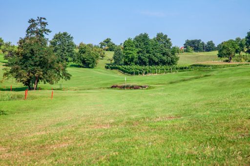 The golf course of Zlati Gric in Slovenia with vineyards and trees on a sunny day