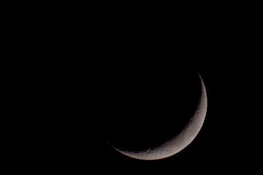 The half moon in a dark black sky