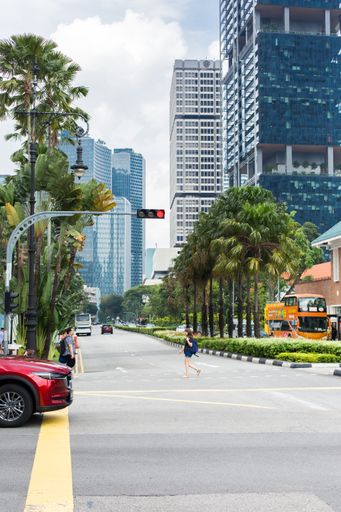A vertical shot of a female crossing intersection surrounded by tropical trees and buildings