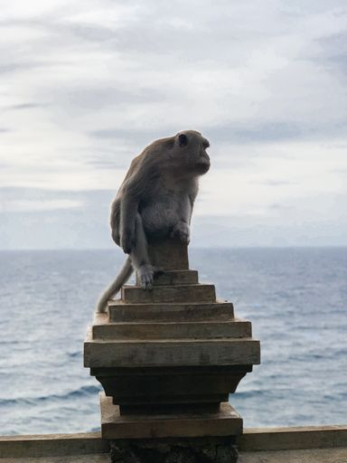 A vertical selective focus shot of a gray monkey on a stone surface