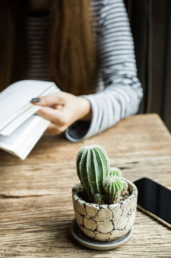 A vertical selective closeup shot of cactus plant in a pot and a phone on a wooden table