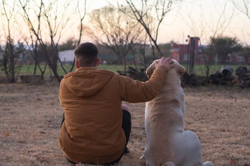 A closeup of a man sitting on the ground with a dog in a park