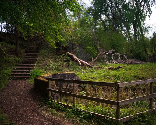 A beautiful shot of an old park with trees