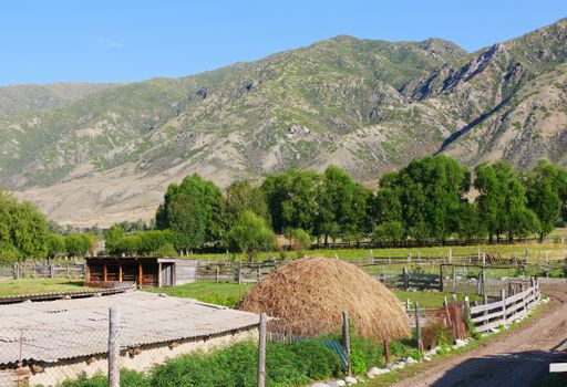 A horizontal shot of a farmland surrounded by mountains in Kyrgyzstan