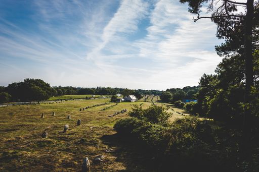 A wide shot of a grass field surrounded by trees under a clear sky