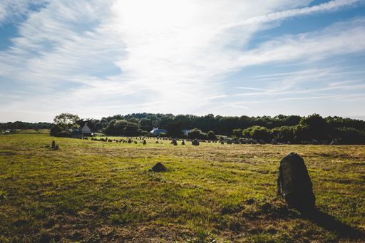 A wide shot of a grass field surrounded with trees under a sunny sky