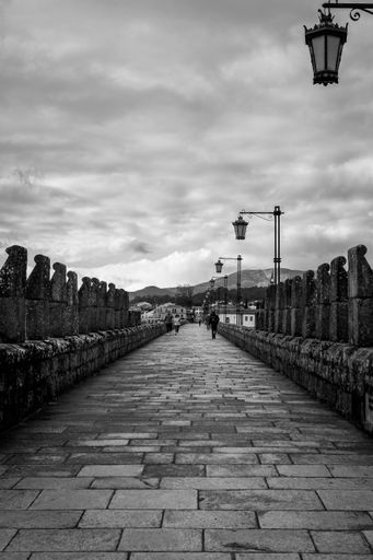 A vertical shot of walkway with decorative street lamps